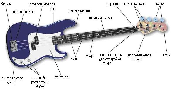 устройство бас-гитары