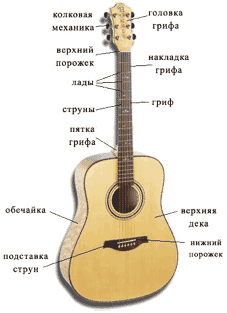 акустическая гитара устройство